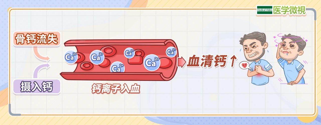 沈阳经济技术开发区人民医院(沈阳开发区医院),钙吸收