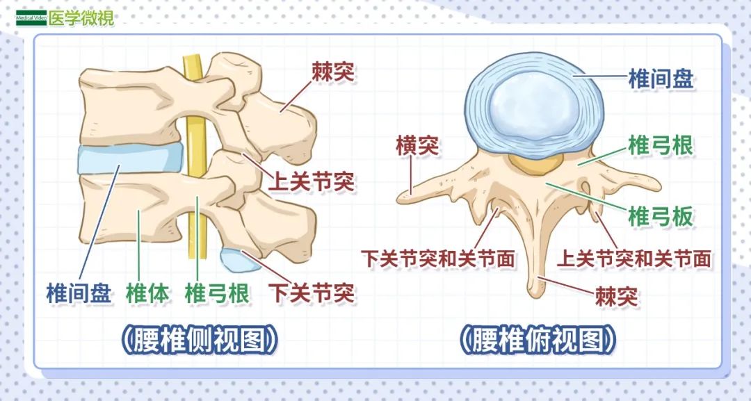 沈阳经济技术开发区人民医院官网（开发区医院）,骨外科