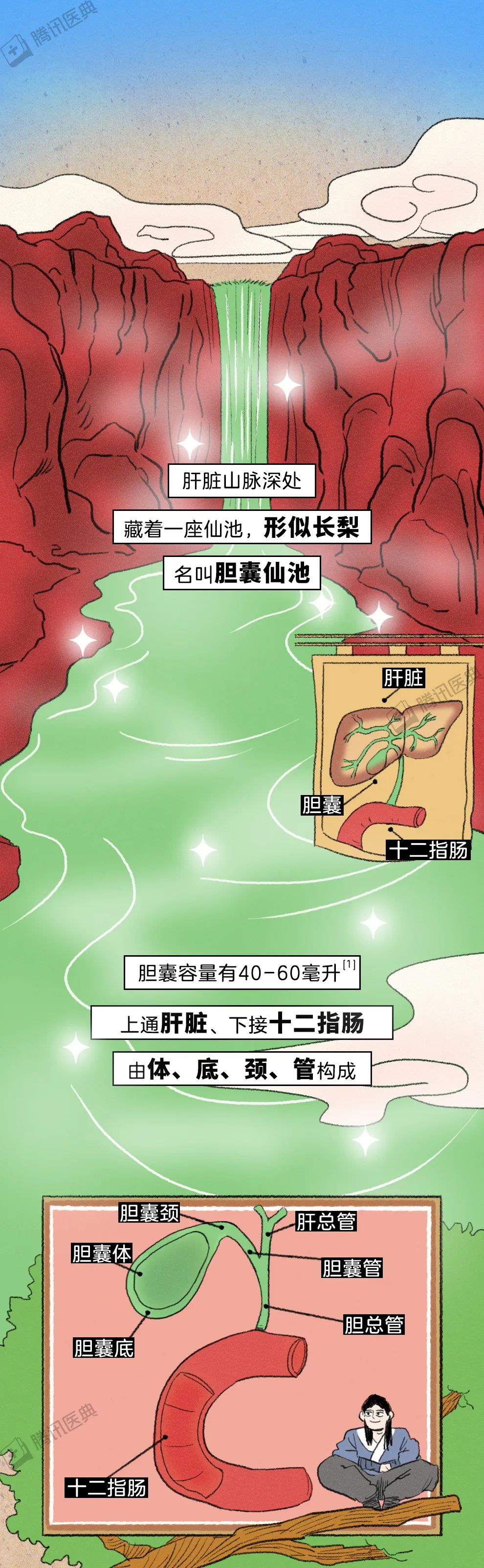 沈阳经济技术开发区人民医院官网（开发区医院）,不按时吃饭