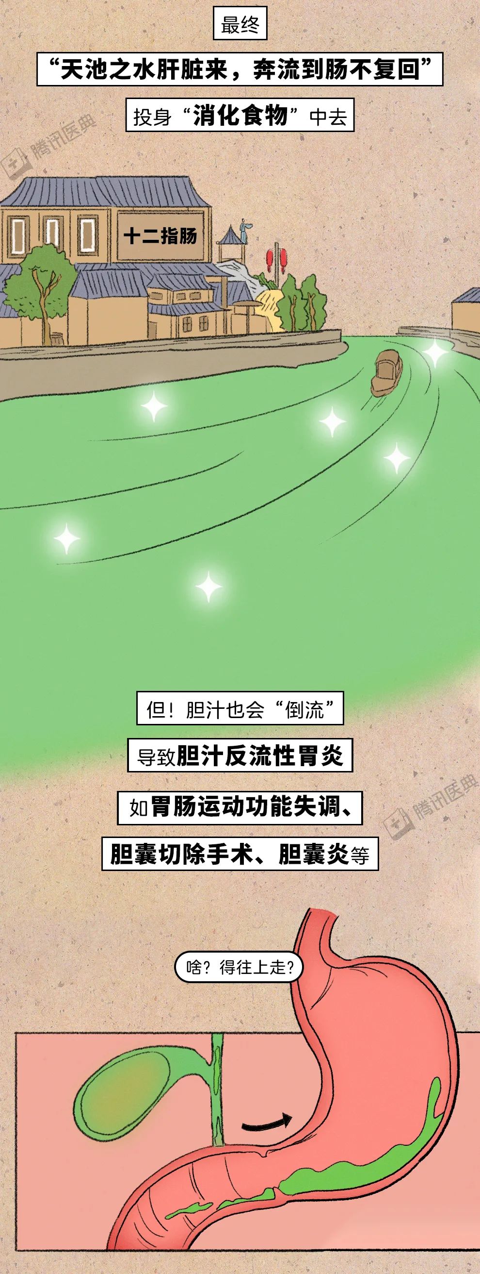 沈阳开发区医院官网（沈阳经济技术开发区）,胆结石
